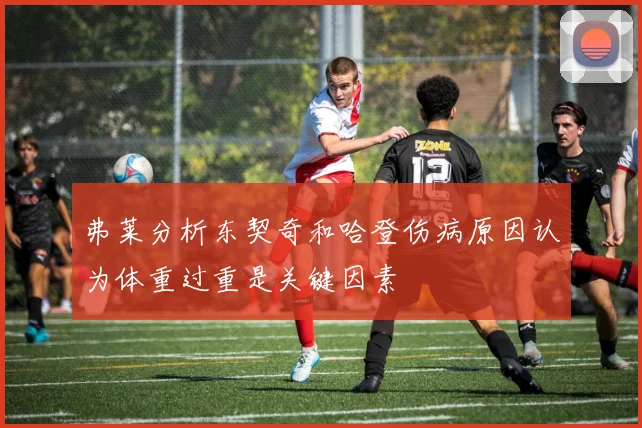 弗莱分析东契奇和哈登伤病原因认为体重过重是关键因素