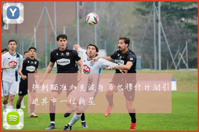 热刺瞄准加克波与马尔穆什计划引进其中一位新星